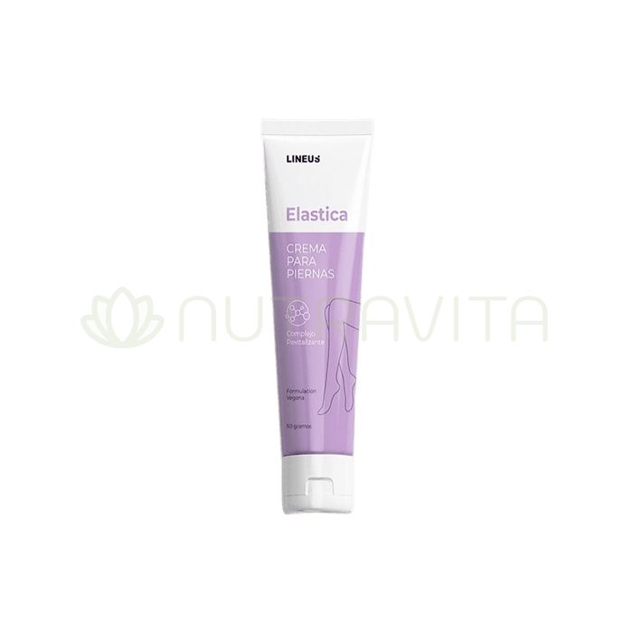 Elastica